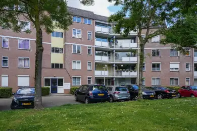 Zeskant 51