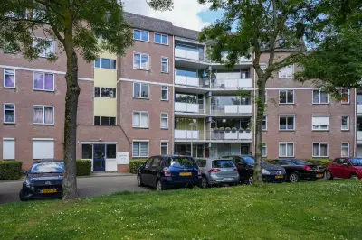 Zeskant 51